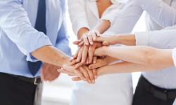 Suspendisse arcu nisl